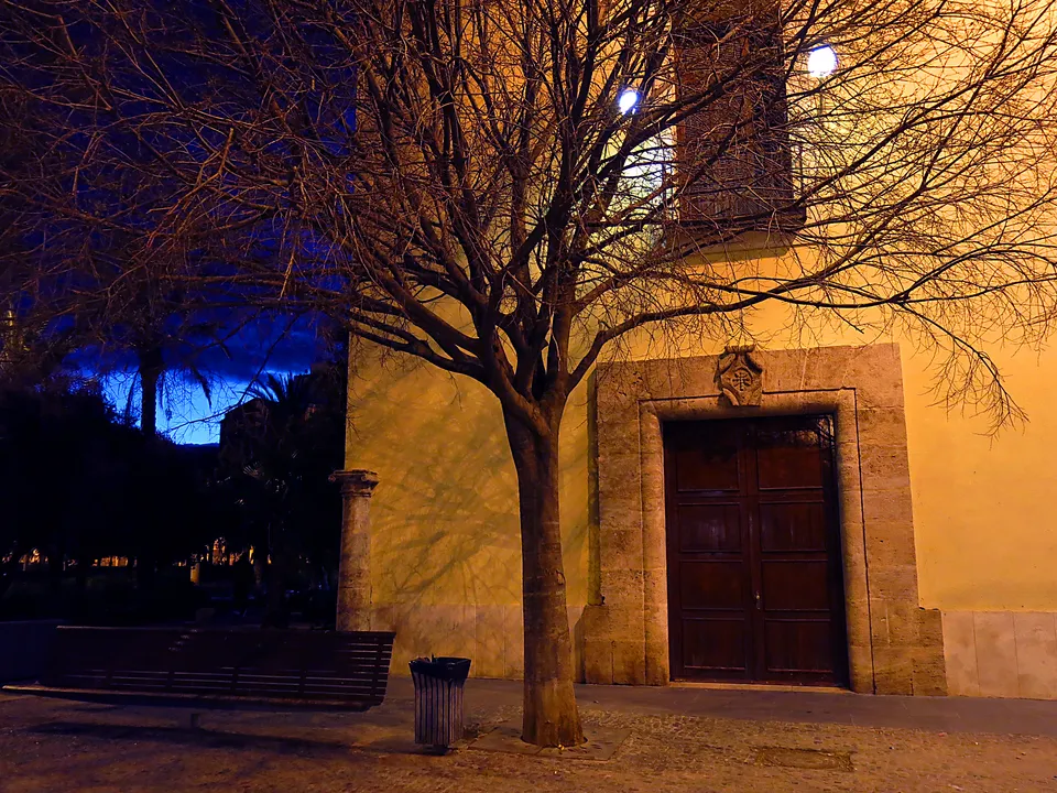 East entrance of Biblioteca Pública de València at night, with a tree and bench.