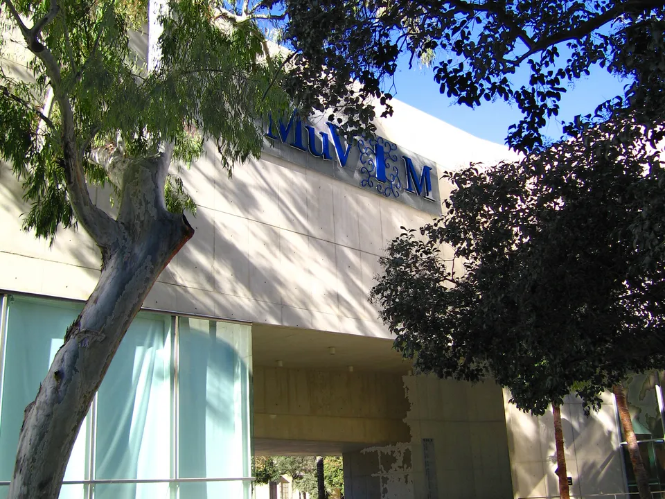 Exterior of the MUVIM building behind trees in Valencia.