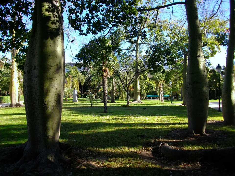 Tree-filled lawn in Jardines del Real / Viveros, Valencia.